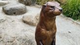 A crime like no otter: Gresham police searching for stolen otter sculpture from park