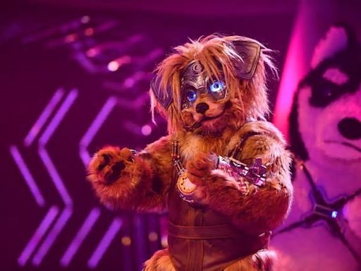 Enttarnung bei „The Masked Singer“: Im Robodog steckte eine TV-Moderatorin