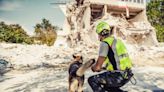 Watch the Moment Rescuers Saved a Dog Who Was Trapped in a Collapsed Home After the Turkey Earthquake