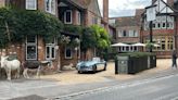 Montagu Arms hotel: Driving back in time - and into luxury - in the New Forest