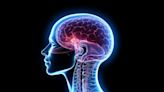 Revolución en la neurociencia: científicos revelan mapa clave sobre el cerebro humano