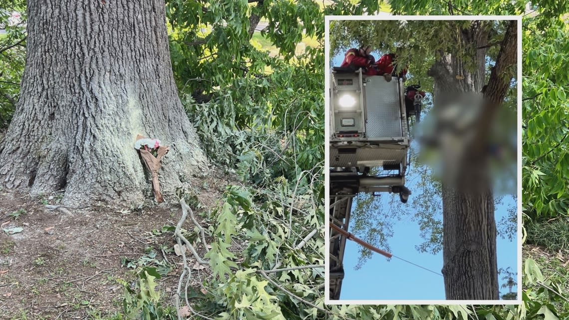 'It could've been prevented' | Neighbors sounding the alarm after man killed while trimming trees in Acworth