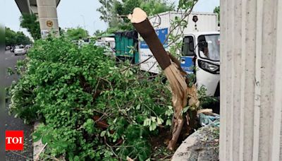 DTC bus rams metro pillar in Delhi's Punjabi Bagh; 1 dead, 23 hurt | Delhi News - Times of India