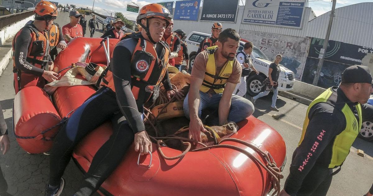 ‘Caramelo,’ the Brazilian horse stranded on a roof by floods, saved in daring rescue