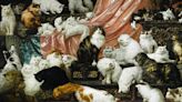 ”My Wife’s Lovers”: la pintura que cuenta un relato de amor e insaciable pasión por los gatos