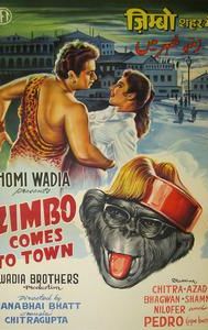 Zimbo Comes To Town