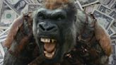 Kingdom of the Planet of the Apes is a box office hit, so what next?