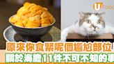 【海膽營養】關於海膽不可不知的11件事 海膽營養／食用注意事項 - UFood - 最hit 食訊 - 健康食訊 | U Food 香港餐廳及飲食資訊優惠網站