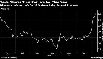 大漲80% 特斯拉在ARKK基金的權重達到了無以復加的高位