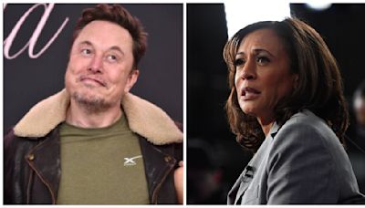...'t Let Us Back In': Fury Erupts Online As Elon Musk Suspends ‘White Dudes For Kamala Harris’ Account...