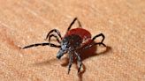Will N.J. see big tick season this year? Here’s an early bite at the numbers.