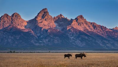 Seeking Summer Solace Atop America’s Serengeti