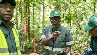 Cómo la innovación forestal protege al planeta