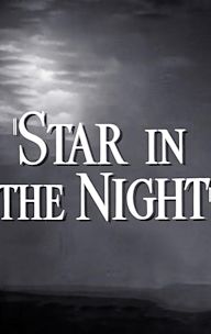 Star in the Night