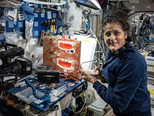 Will Sunita Williams be back home soon? NASA to make important announcement