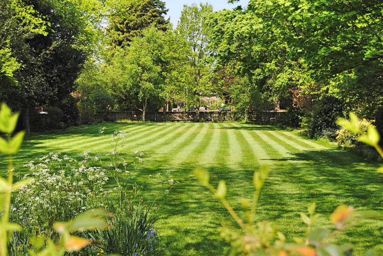 How Often Should You Mow Your Lawn? Experts Weigh In