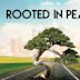 Rooted in Peace