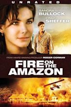 Fire on the Amazon