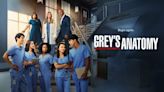 Grey’s Anatomy Season 20 Streaming: Watch & Stream Online via Hulu