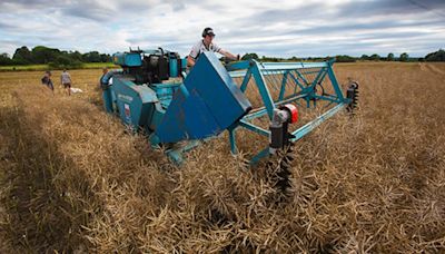 Border delays jeopardise new seed variety trials - Farmers Weekly