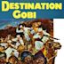 Destination Gobi