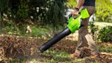 The best leaf blowers to buy in 2024, according to reviews