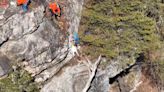 Four goats rescued from Tennessee mountain ledge