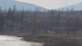 ‘We lost homes’: B.C. Venables Valley resident describes devastation of massive wildfire | Globalnews.ca