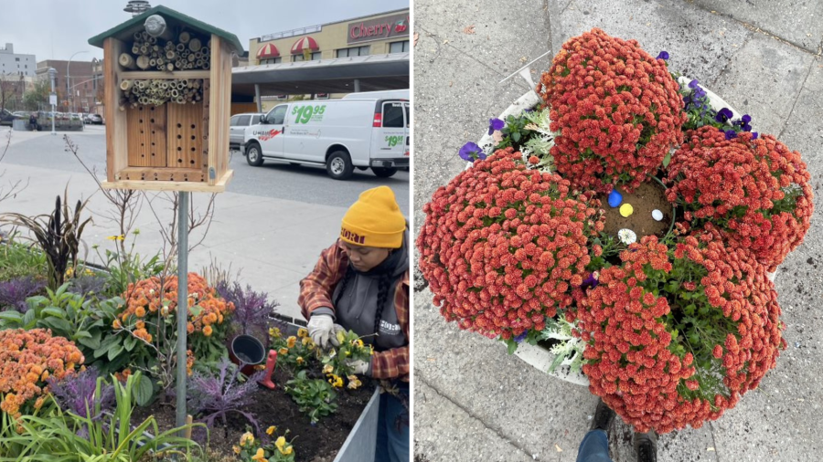 ‘Turning open streets into habitats’: Bee hotels create safety for at-risk bees in NYC