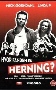 Hvor fanden er Herning?