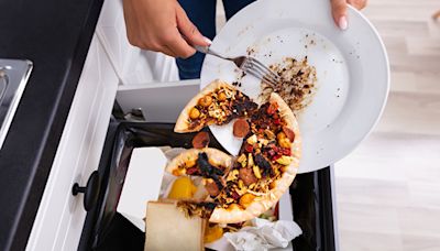 Halving Food Waste Can Reduce Hunger For 153 Million People Globally: Report