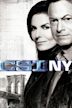 CSI: Nueva York