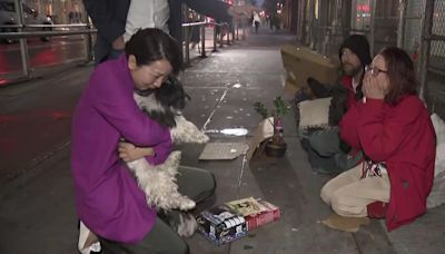 NYC family thought their dog, Panda, was stolen in Central Park and gone for good. See the surprise reunion.