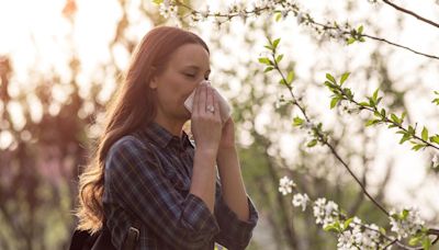 Alergia primaveral: estos son los alimentos que te ayudarán a combatir sus molestos síntomas