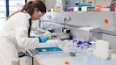 CIC nanoGUNE ofrece investigadores a la industria vasca