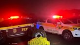 Polícia apreende 53 kg de drogas em caminhão que levava doações ao RS – Sociedade – CartaCapital