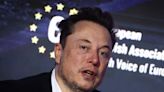 Tesla ditched language saying it was 'a majority-minority workforce' after Elon Musk said 'DEI must die'