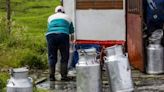 Alertan a hogares que consumen leche en Colombia; productores han tenido que botarla