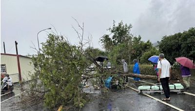 風雨釀禍！彰化郵差慘遭「路樹砸死」 生前暖舉親友全淚崩