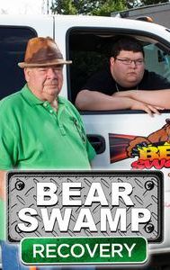 Bear Swamp Recovery