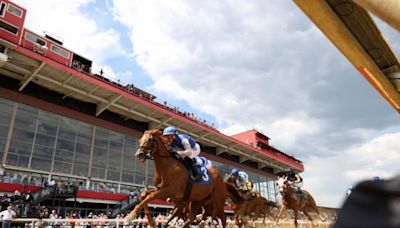 Preakness Stakes payout breakdown: How much prize money will the winner get in 2024? | Sporting News