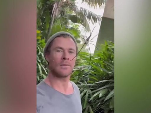 Chris Hemsworth shares close encounter with massive spider