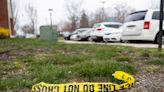 More bones found in Mass. creek where skull was discovered