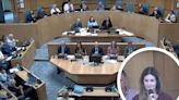 Inspiring foster carer applauded for her 'uplifting' speech to councillors