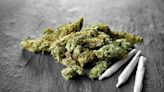 Heavy cannabis use linked to CVD mortality in women