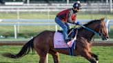 Breeders' Cup 2022: Post positions, odds, entries for Filly & Mare Sprint