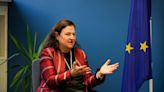 EU Ambassador to Ukraine: Ukraine could join EU in 2030