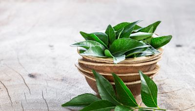 4 Incredible Ways Curry Leaves Water Can Accelerate Your Weight Loss Goals