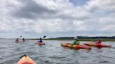 One-tank Trip: Port Royal Sound's coastal marshes teem with life and adventure