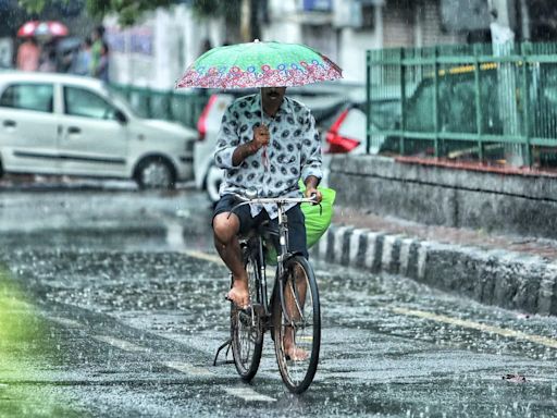 Rain Hits In Parts Of Delhi, Yellow Alert Till Saturday: Weather Office